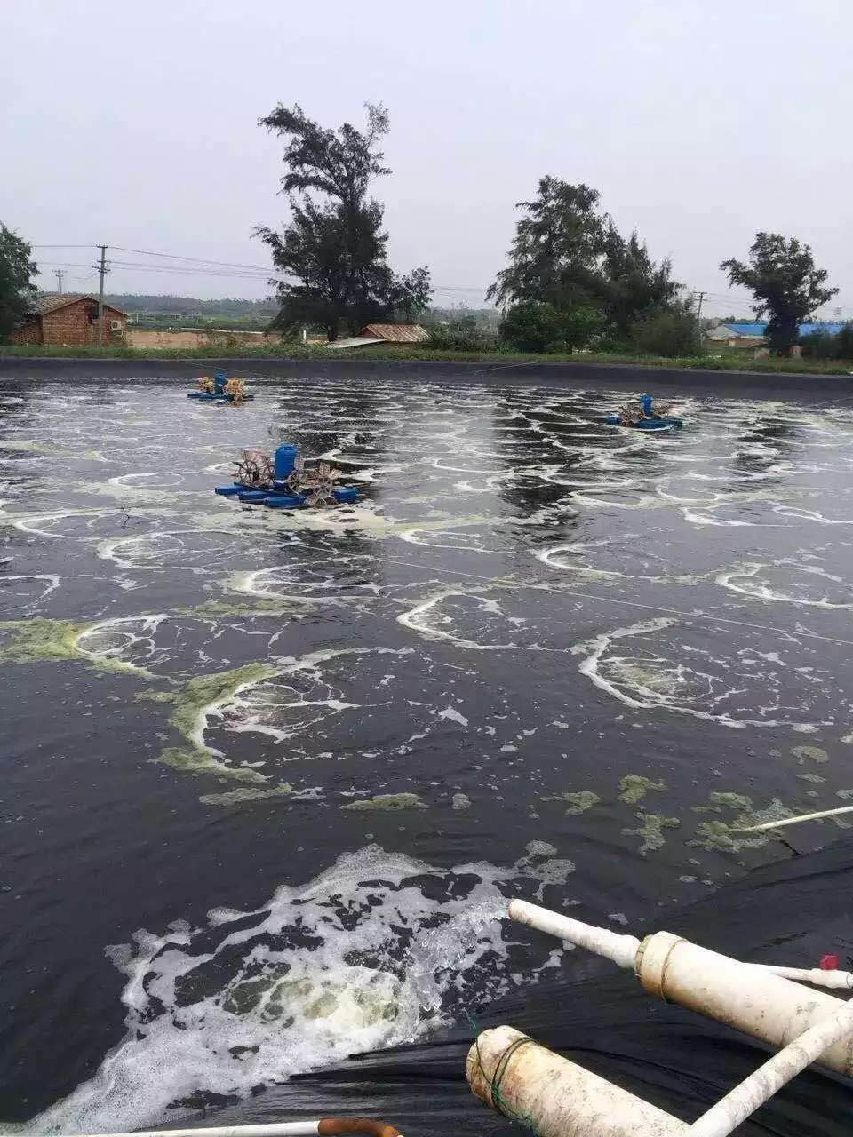 增氧羅茨風(fēng)機.jpg