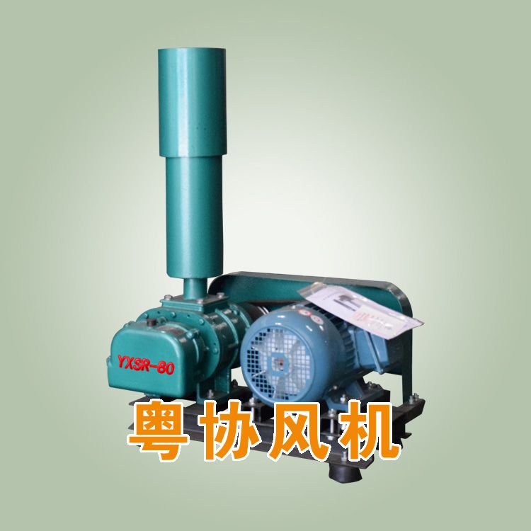 肇慶羅茨鼓風機.jpg